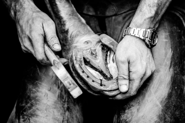 Hufbeschlag Thielkes