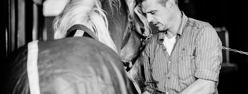 Hufbeschlag Thielkes