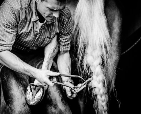 Hufbeschlag Thielkes Hufbeschlag Thielkes