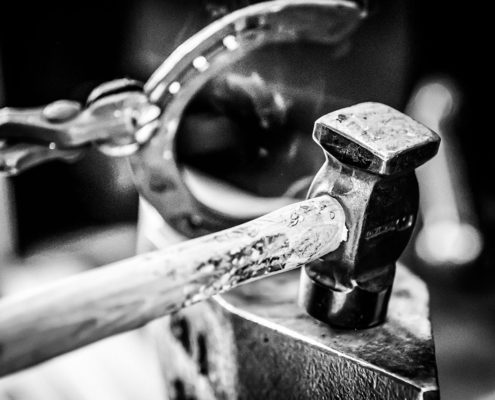 Hufbeschlag Thielkes Hufbeschlag Thielkes