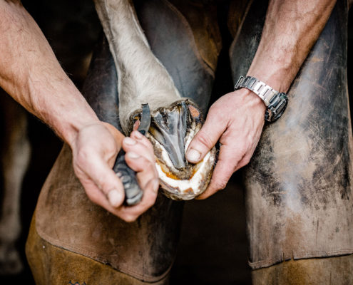 BARHUFPFLEGE Hufbeschlag Thielkes