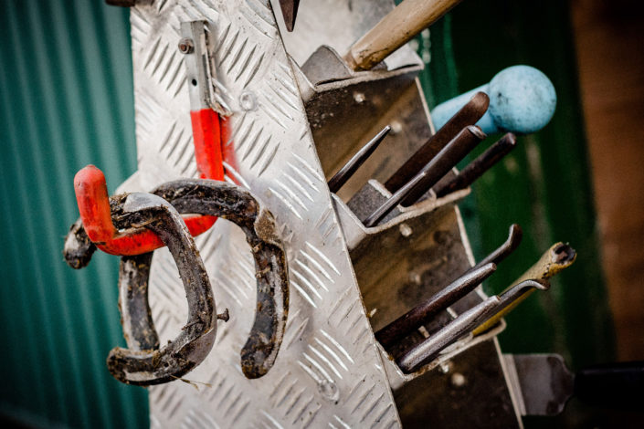 Hufbeschlag Thielkes