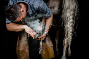 Hufbeschlag Thielkes Hufbeschlag Thielkes