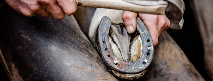 Hufbeschlag Thielkes