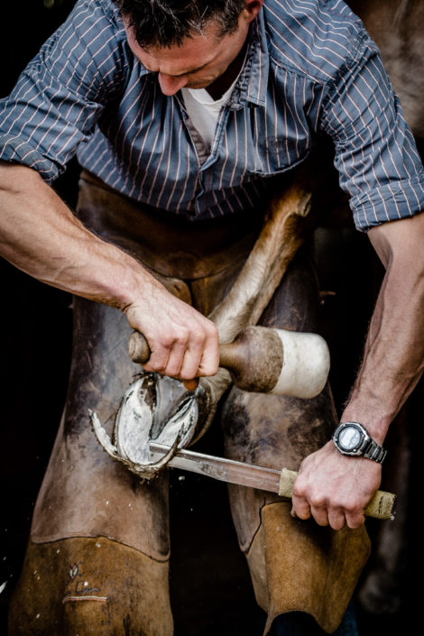 Hufbeschlag Thielkes