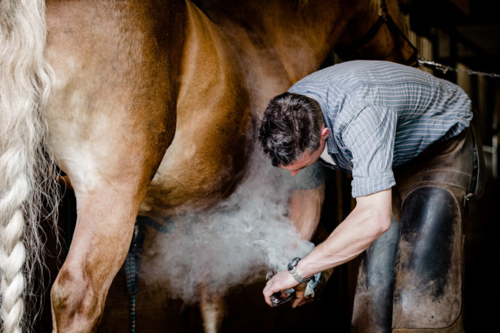 Hufbeschlag Thielkes
