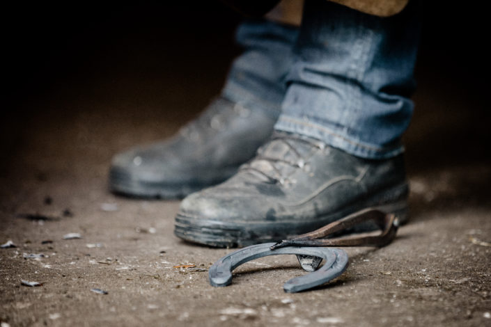 Hufbeschlag Thielkes