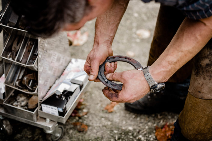 Hufbeschlag Thielkes