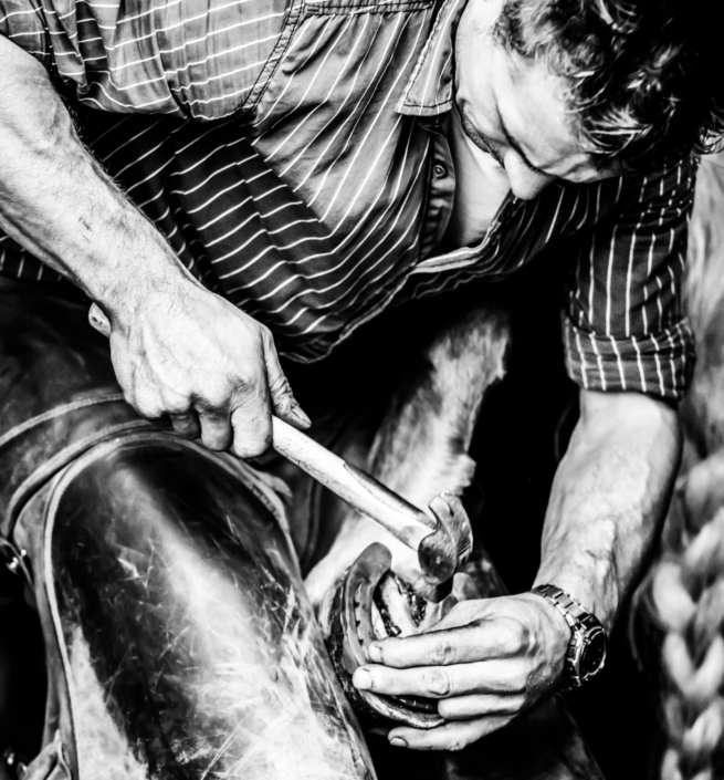 Hufbeschlag Thielkes